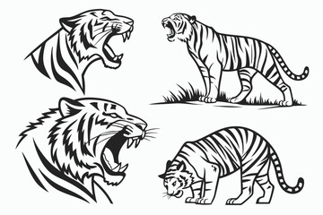 Set of big tigers. Collection of portraits of predatory wild cats. Set of wildlife and fauna dwellers. Vector illustration on a white background. Tattoo.