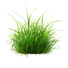 Grass Field Podium and Isolated Lawn on White Background