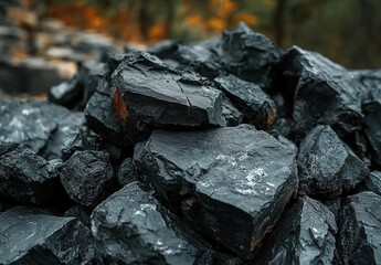 Close-up of black coal chunks with blurred autumn-tone trees in background.