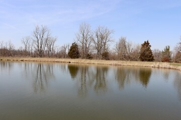 The pond in the country on a sunny winter day.