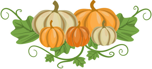 Autumn Harvest: A Charming Arrangement of Pumpkins and Vines