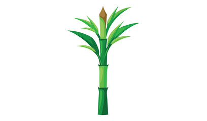 Fototapeta premium bamboo isolated on white background