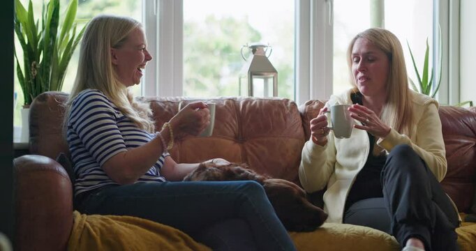 Coffee cup, relax friends or happy people speaking, conversation, talk in morning chat, communication or discussion. Pet dog, wellness drink or home women consulting, gossip and listen to funny story