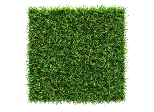 Artificial grass carpet