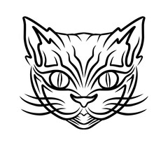 Intricate line art of a cat's face showcasing detailed features and expressive eyes