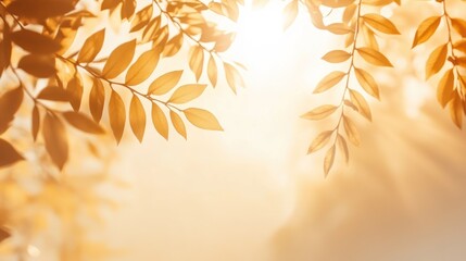 Golden Autumn Leaves Backlit by Sun