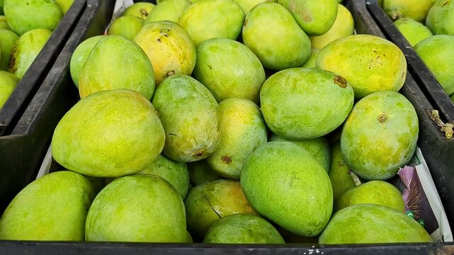 Close-up shot of Alphonso mangoes, also known as Hapus or Ratnagiri mangoes, on display for sale