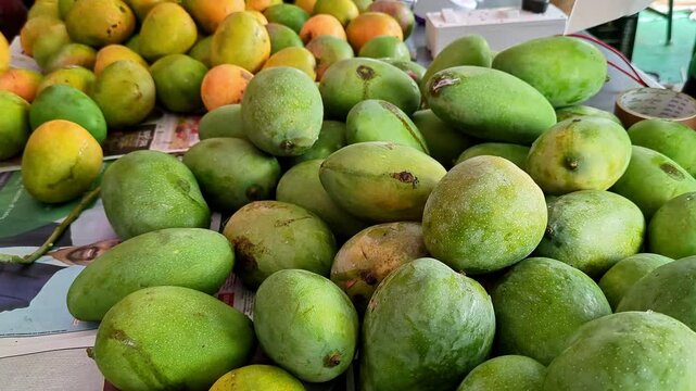 Close-up pan shot of Amrapali or Dasheri or Fazli mangoes on display for sale
