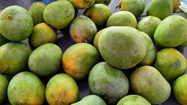 A close-up pan shot of fresh ripe Indian mangoes on sale at a mango festival in Bengaluru
