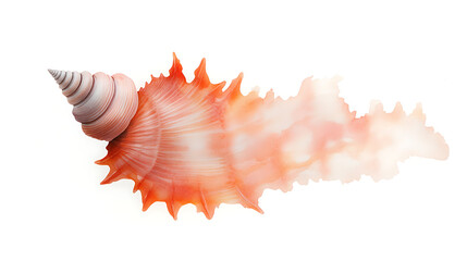 Watercolor Exotic Spiky Seashell. Hand Drawn Marine Shell Illustration, Ocean Creature Clipart Isolated White Background