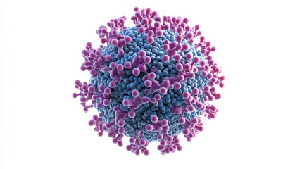 Scientific clean rendering of DNA virus structure highlighting double stranded DNA core and capsid proteins minimalist molecular design pure white background no text