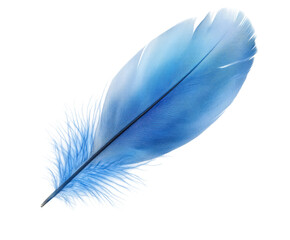 Elegant blue feather capture nature light aesthetic appeal isolated on transparent background