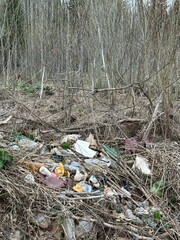 Landfill in nature. Plastic trash. Vertical. Garbage in the forest