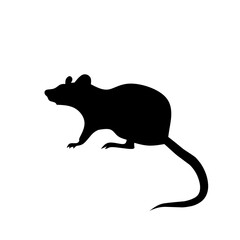 Mouse icon vector. Rat illustration sign. Jerboa symbol or logo