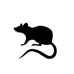 Mouse icon vector. Rat illustration sign. Jerboa symbol or logo