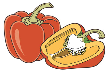 Bell Pepper Vegetable Vector Illustration on White Background

