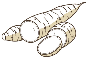 Cassava Yuca Vegetable Vector Illustration on White Background

