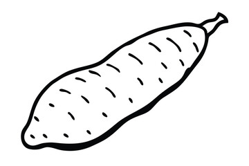Chinese Yam Vegetable Vector Illustration on White Background

