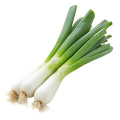 Harvesting fresh green onions farm field food natural isolated on transparent background