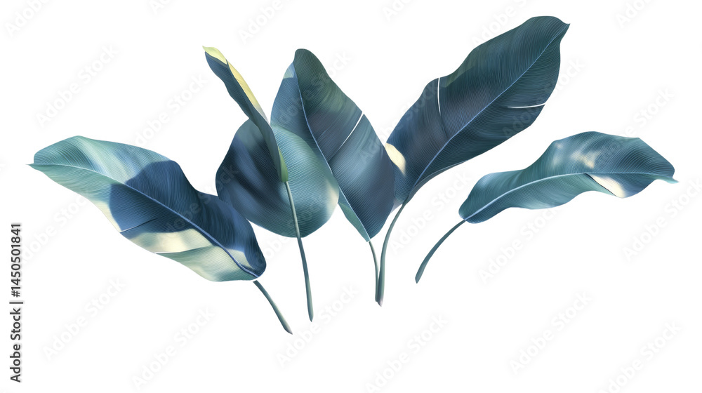 Poster botanical illustration of stylized banana leaves with smooth textures and gradients on a transparent
