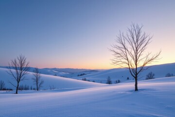Winter Landscape at Dawn