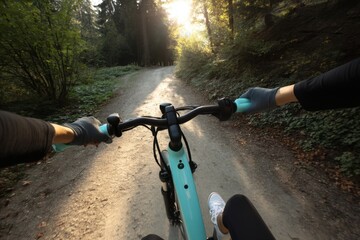 Cycling through Forest Trails: A Serene Bike Ride on a Sunny Day.