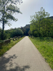 A road bike placed in a serene natural landscape, with rolling hills, green meadows, and a clear sky