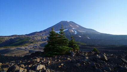 mount hood in the mountains