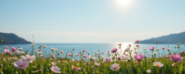 Obraz premium Coastal Meadow with Pink Flowers and Ocean View