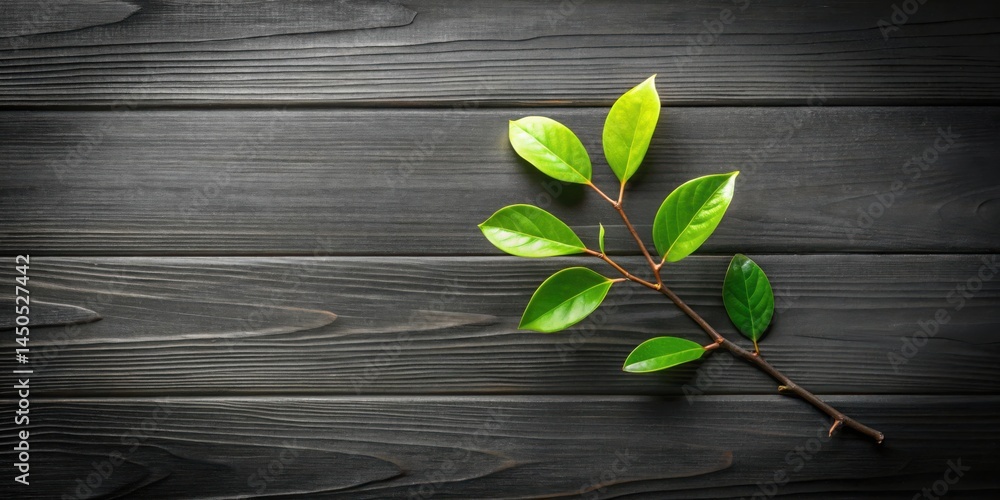 Aufkleber A slender twig with delicate green leaves rests gracefully on a rustic wooden surface, creating a simple yet elegant natural composition.