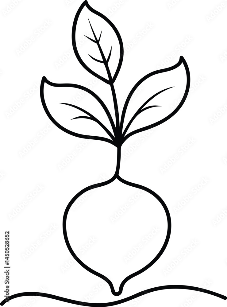 Poster organic beetroot illustrated using continuous line art drawing style emphasizing simplicity and fres
