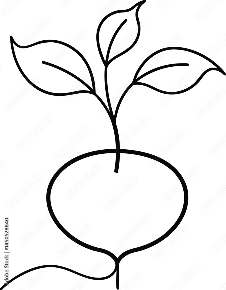 Poster botanical beetroot sketch in continuous line art drawing style showing detailed root form with minim