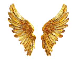 Golden angel wings in creative design ethereal atmosphere isolated on transparent background