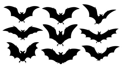 Fototapeta premium set of black bat silhouette vector on tranparent background