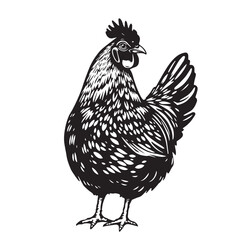 A Bold Chicken Silhouette Tribute to the Timeless Barnyard Queen