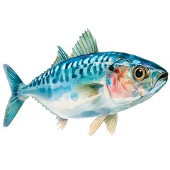 Obraz premium A detailed watercolor painting depicts a vibrant Atlantic mackerel fish swimming gracefully against a pristine white background.