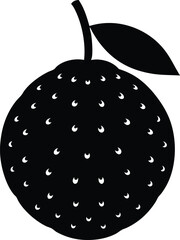 allspice berry silhouette vector on white 