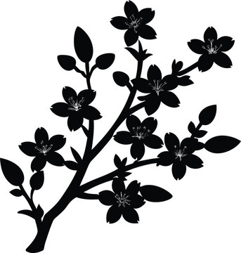 black cherry blossom branch silhouette clip art preview