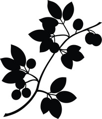 american bittersweet vine silhouette vector  © Chandro Protap Ray 