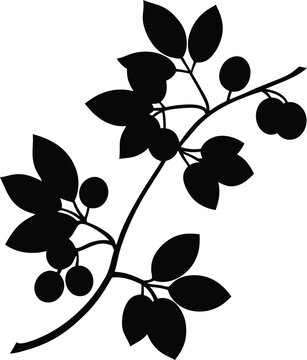 american bittersweet vine silhouette vector 