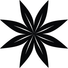 anise seed silhouette vector on white background   