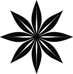 anise seed silhouette vector on white background  .eps