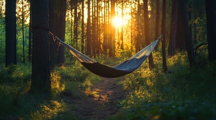 Obraz premium Tranquil Hammock Under Sunlit Forest Canopy