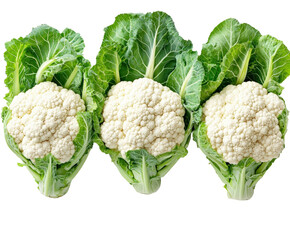 Cauliflower harvesting process farm food agriculture isolated on transparent background