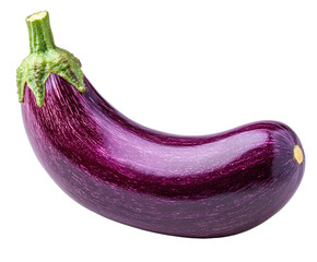 Cooking with eggplant delicious recipes and tips for home chefs in the kitchen isolated on...