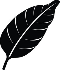 banana leaf silhouette vector illustration on white