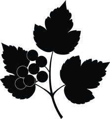 black currant flower silhouette vector on white 