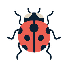 Ladybug insect. Vector illustration isolated on white background, hand drawn, flat design