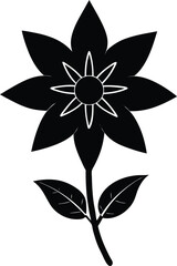 borage flower silhouette vector on white 