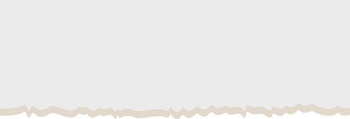 Torn Paper Edge Texture: Light Grey, Irregular, Ragged